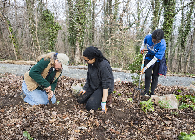 simple-ways-to-help-save-mother-earth-conektome